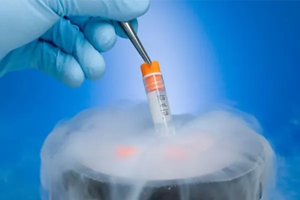 Cryopreservation of Embryos